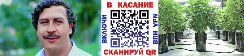 Купить наркотики Армавир ГАШИШ  КОКАИН  Меф мяу мяу  Бошки Шишки 