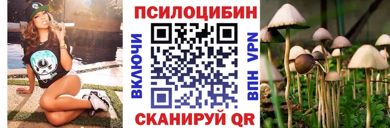 Псилоцибиновые грибы мицелий  что такое   Армавир 